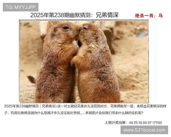 探索澳门新彩资料官方网站网址的最新动态与资讯